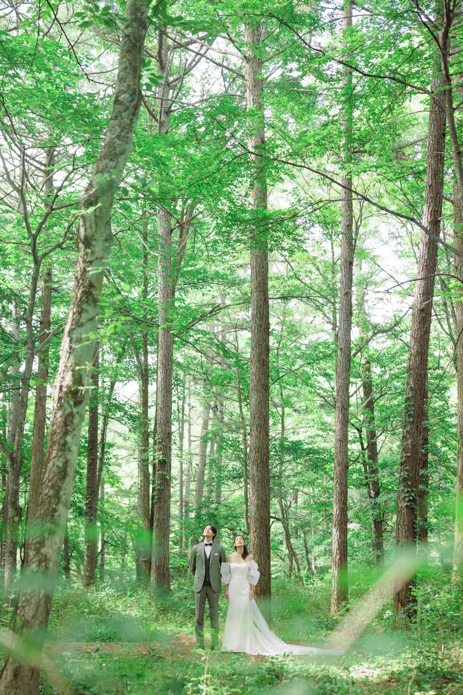 写真：こもれびの谷でのロケーションフォト