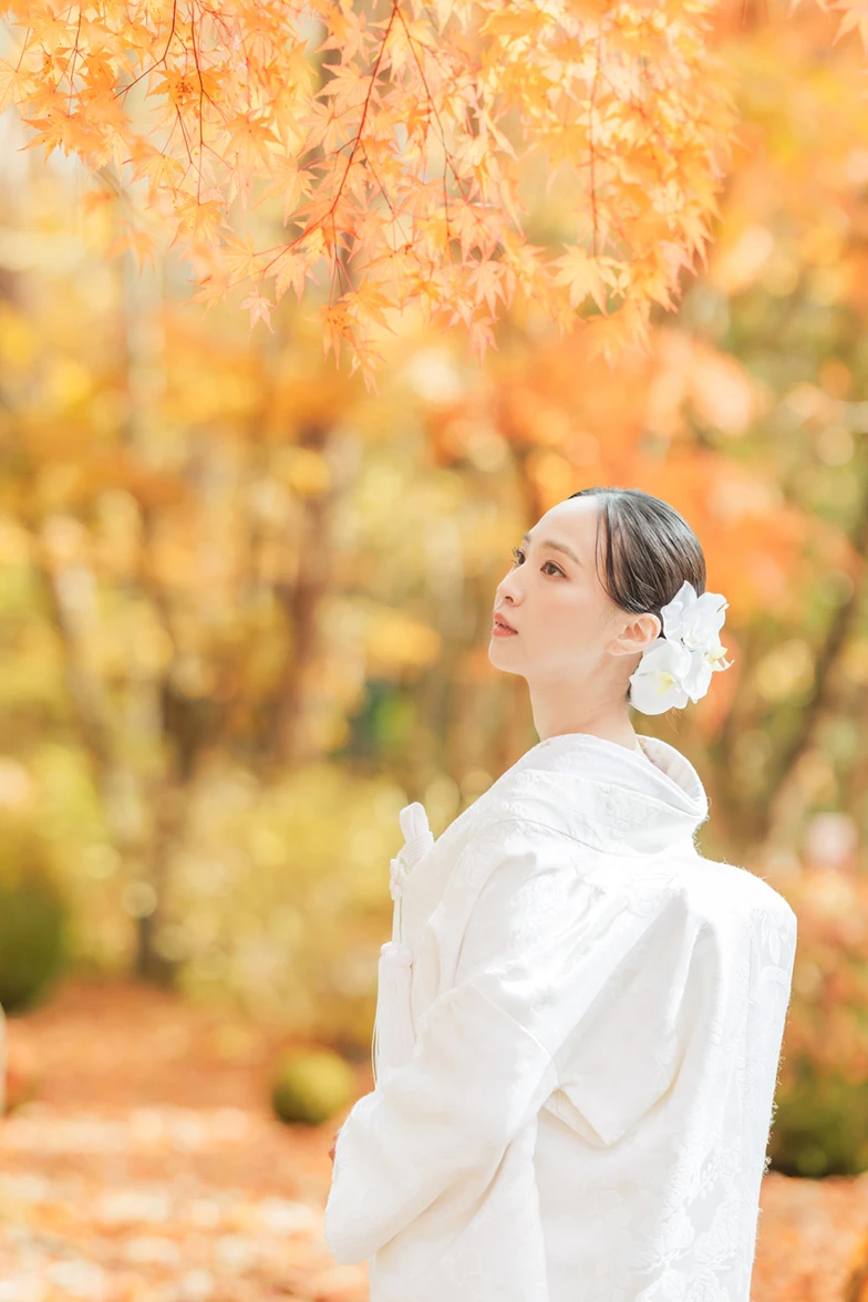 写真：和装 秋