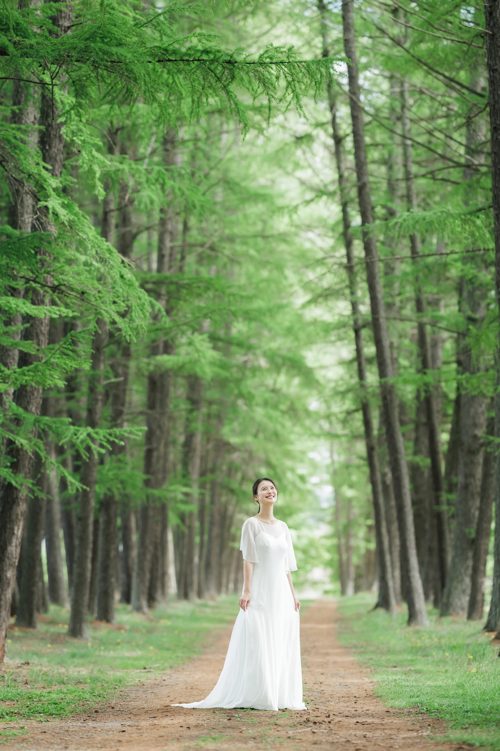 写真：洋装 並木道