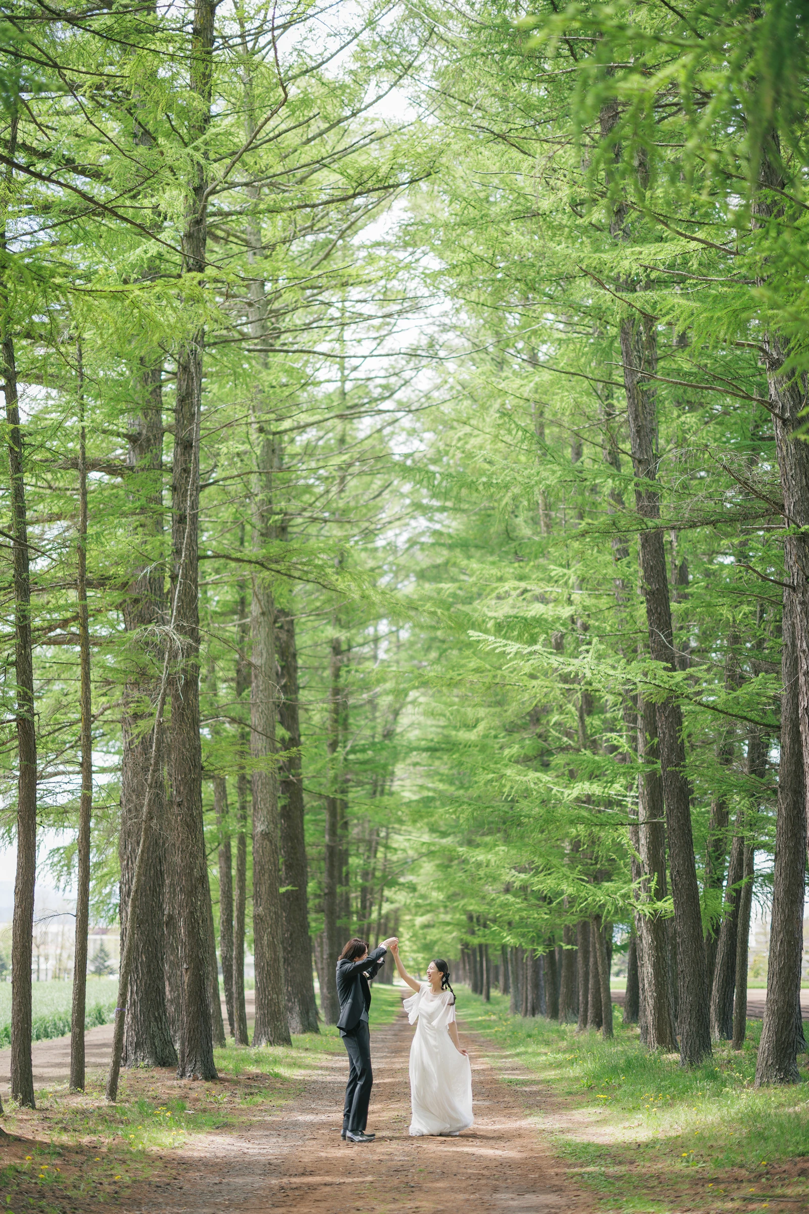 写真：洋装 並木道