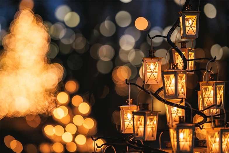 写真：洋装 クリスマスの森