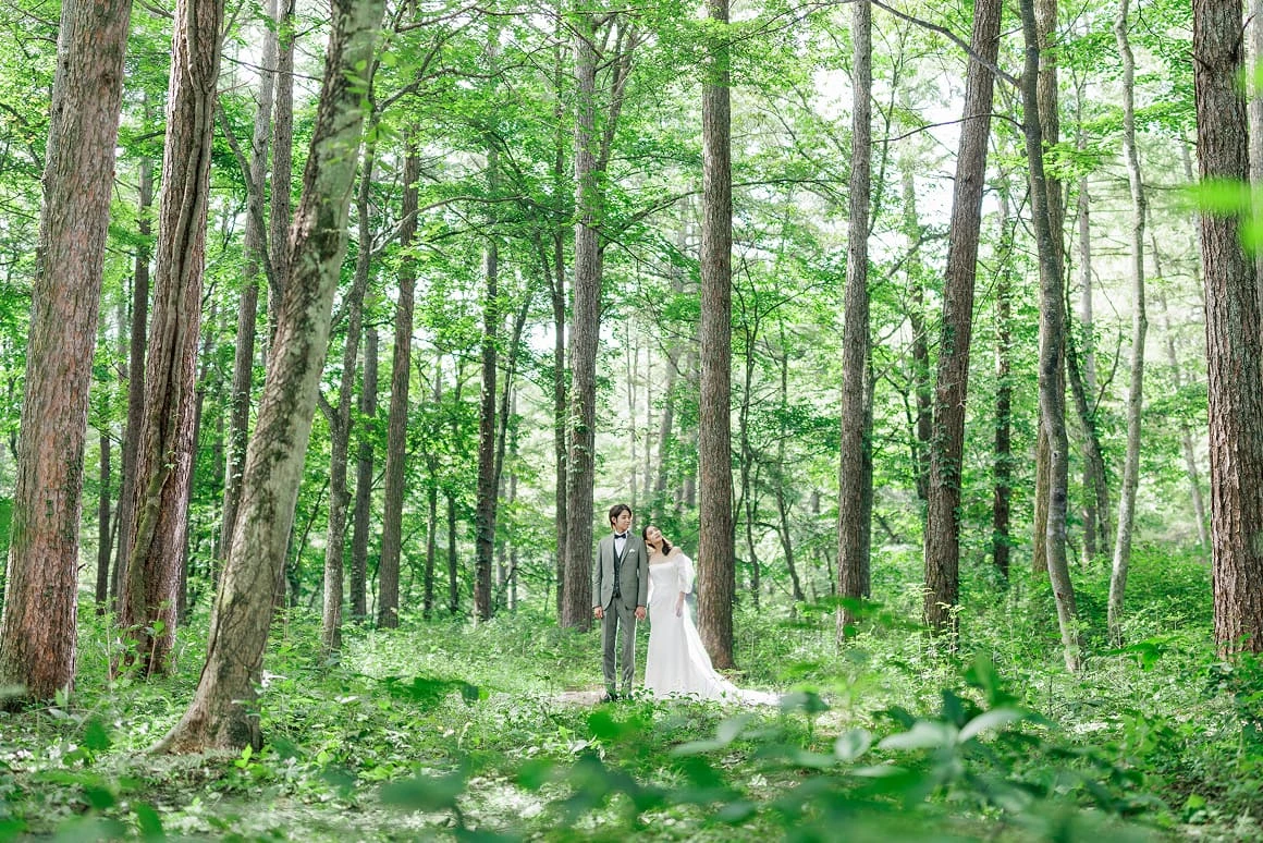 写真: こもれびの谷