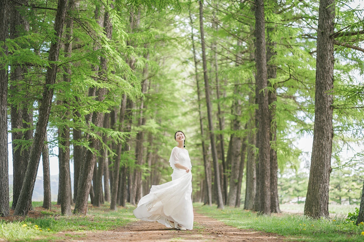 写真: 並木道